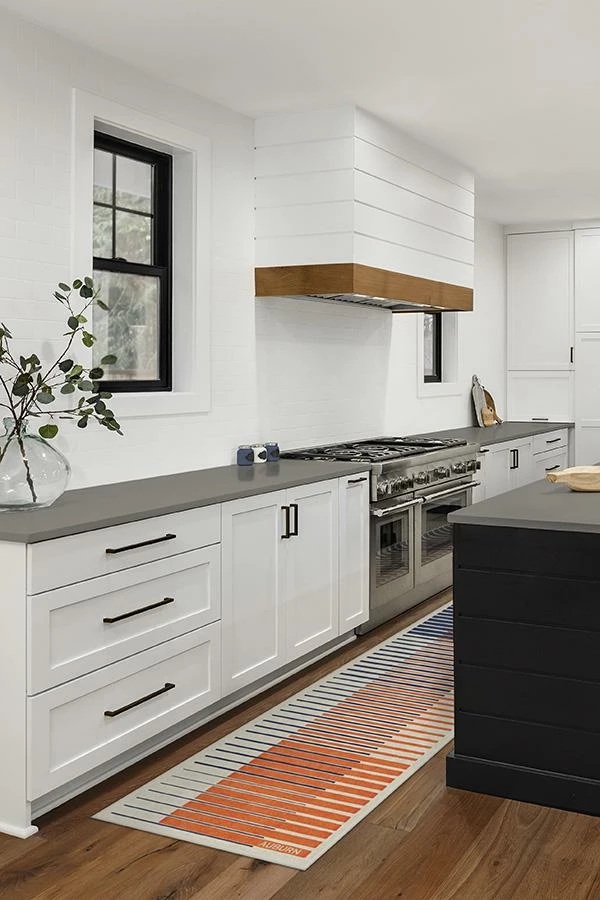 Promo โจ Ruggable Auburn University Gradient Rug ๐ฏ - Image 8