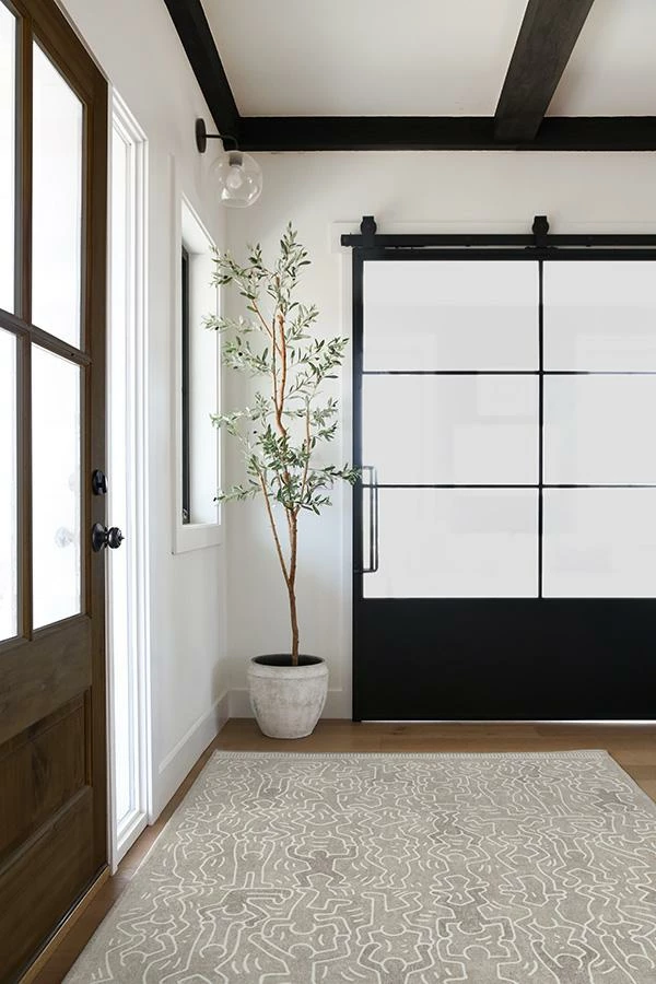 Coupon ๐ Ruggable Keith Haring Balancing Act Ash Grey ๐ - Image 4